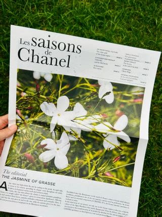 les champs de chanel|A Walk Through Chanel's Perfumery Gardens in .